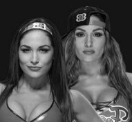 Bella Twins wrestlers