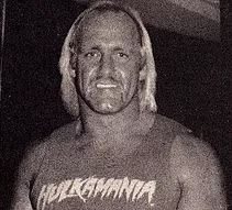 Hulk Hogan wrestlers