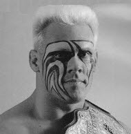 Sting wrestlers